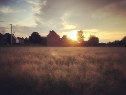 Begin van de Gentbrugse Meersen