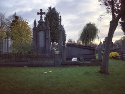 begraafplaats Gentbrugge