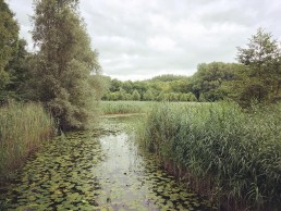 Liedermeerspark