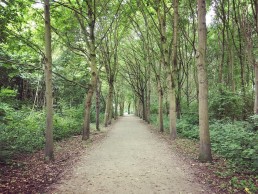 Liedermeerspark