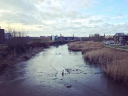 Zicht van Gentbruggebrug richting Arbedpark