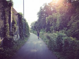 wandelpad richting natuurpark Overmeers