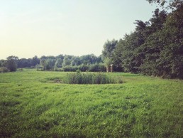 Natuurpark Overmeers