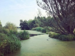 water aan wandelpad parallel met de Pontstraat