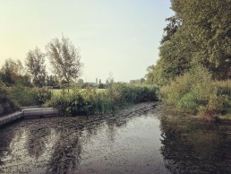 zicht op de oude abdij van Drongen