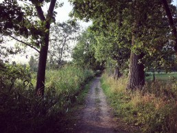 wandelpad richting oude abdij van Drongen